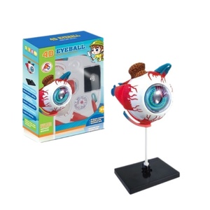 Modelo de anatomía ocular 4D MAXCARE transfronterizo MAC-CH08 de plástico desmontable, material didáctico médico para la educación infantil - Product Image 5