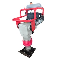 Compacteur vibrant professionnel à essence TN110 pour le remblaiement de fossés, la compactation des sols et des routes, matériel de construction