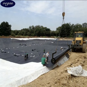 ASTM HP-OIT Geomembrane High Pressure Oxidation Induction <strong>Time</strong> <strong>Long</strong>-Term Durability 1.5mm 2.0mm Critical Infrastructure <strong>Liners</strong> - Product Image 5