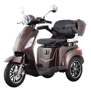 รถสามล้อ รถจักรยานยนต์สามล้อ รถสามล้อสำหรับผู้ใหญ่ พร้อม EEC - Product Image 6