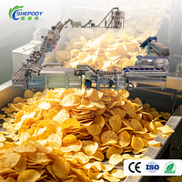Shepody 100kg/u 500kg/u Industriële continue productielijn voor aardappelchips, volautomatische apparatuur voor het verwerken van gefrituurde chips