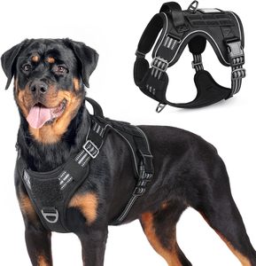 Durable Solid Nylon Personalized <b>Dog</b> Harness with LED <b>Light</b> & GPS Tracker Holder for Night Safety - Product Image 1