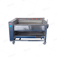 Aardappel schilmachine, aardappelverwerkingslijn, aardappel snijlijn, borstelrol schil- en reinigingsmachine