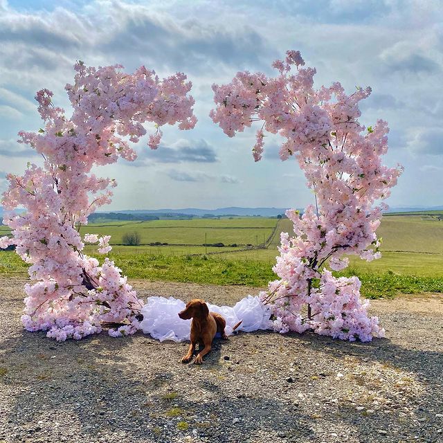 product-1-1 product-1-1