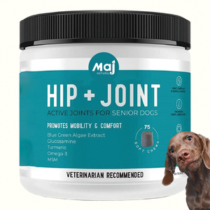 OEM ODM Golosinas Masticables de Mejillón de Labio Verde para Perros - Con Glucosamina Natural para el Apoyo de la Salud Articular - Product Image 1