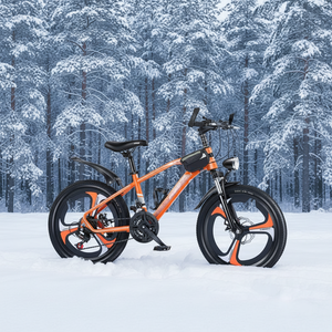 <span class=keywords><strong>Vélo</strong></span> de montagne pour filles de <span class=keywords><strong>20</strong></span> <span class=keywords><strong>pouces</strong></span> avec cadre en acier au carbone, freins à disque à vitesse unique, roues d'apprentissage et suspension de fourche - Product Image 1