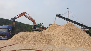 Petits blocs de bois, bon marché, écorce, faible humidité pour MDF, chauffage - Product Image 4