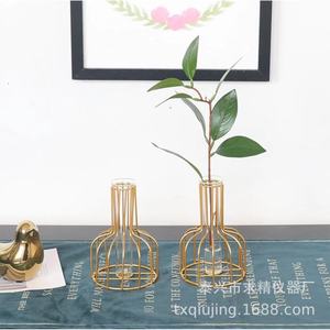 Seeking Excellence Glass Hydroponic Vase Gold Cage Design For Desktop Plant Decoration 25x35x150mm Eco Friendly - Product Image 1