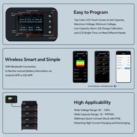 Smart Shunt Automotive Alternator Tester Digital LCD Display Current & LiFePO4 Battery Capacity Tester