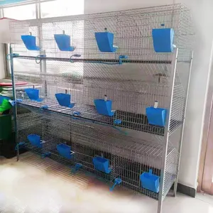 24 cells Rabbit farming cage in Kenya farm H type wire mesh commercial rabbit cage for sale