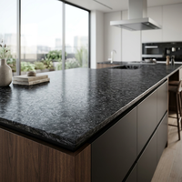 Grande dalle de marbre noir diamanté platine, pierre naturelle moderne de luxe, imperméable, pour usage hôtelier