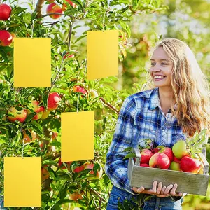 Produsen Grosir PP Pertanian Perangkap Lengket Kuning Papan Biru Stiker Terbang Buah Perangkap Lem