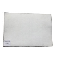 Géotextile non tissé HDPE PP industriel noir et blanc, anti-âge, écologique, résistant à la déchirure, pour la protection des pentes, personnalisable