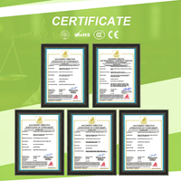 Robot de Paletización Colaborativo de 20 kg y 50 kg, Sistema de Empaquetado, Máquina Paletizadora con Certificación CE, Solución Llave en Mano