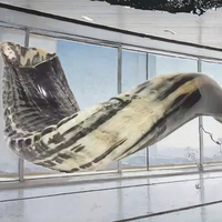Shofar en corne de buffle naturelle d'Inde à prix avantageux, vente en gros