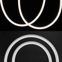 3m/4m/5m 22mm 360 degrés rond flexible led néon lumière tube silicone étanche 3000K/4000K/6500K LED bande néon