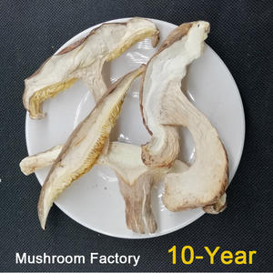 सूखे शीटाक मशरूम कटा हुआ (5 मिमी) मशरूम स्ट्रिप्स निर्यात लाइसेंस कंपनियों को शिटेक मशरूम - Product Image 4