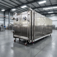 Vacuümvriesdroger voor fruit, groenten en andere voedingsmiddelen, SUS304 roestvrij staal, 380V/220V, levenslange garantie, lage configuratie