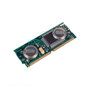 Servicio Integral Original, Componente Electrónico Integrado de 40 SIMM DS2250T-64-16 - Product Image 1