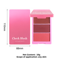 Palette vide 3-en-1 pour correcteur, illuminateur et fard à joues avec pigments crémeux, contenants de maquillage, cosmétiques, poudre pressée, illuminateur