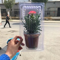 Boîte à clapet en plastique pour plantes en pot boîte d'emballage blister pour plantes expédition