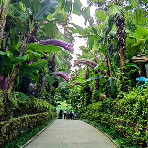 <span class=keywords><strong>Dinosaure</strong></span> animatronique grandeur nature personnalisable pour parcs à thème et centres commerciaux, construction en métal et silicone, capacité supérieure à 500 kg - Product Image 3