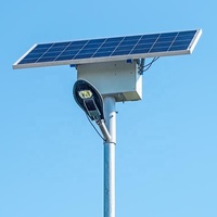 La puissance de haute qualité de 20W 30W 40W 60W 80W 100W 120W a mené le réverbère solaire
