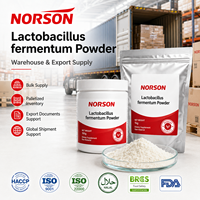 Probiótico de Alta Actividad, 100 Mil Millones de UFC, Lactobacillus Fermentum en Polvo Liofilizado CN/SHN