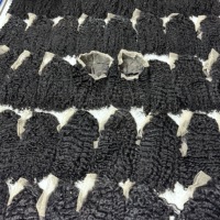 Perruque Lace Frontal Bouclée Cambodgienne, Double Trame Faite à la Machine, Densité 180, Cheveux Humains Vierges, Donneur Unique, Ligne de Cheveux Naturelle