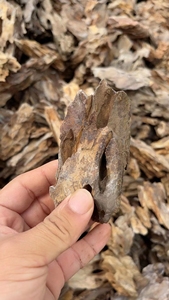 Piedras de acuario lentas de dragón de alta calidad Material cerámico a <span class=keywords><strong>precio</strong></span> de fábrica 5W de potencia - Product Image 4