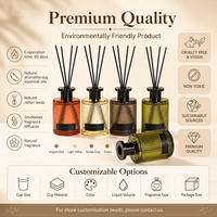 Diffuseur de parfum d'ambiance de luxe personnalisé OEM, marque privée, longue durée, pour hôtel, cadeau et vente en gros