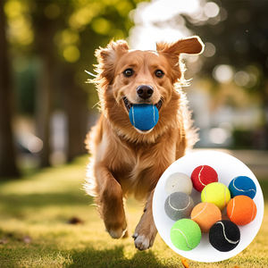 Factory Stock Umwelt freundliche Gummi Hundes pielzeug Benutzer definiertes Logo 2,5 "Durchmesser Tennisbälle Hunde Haustier Interaktive Bewegung Übung Haustiere - Product Image 5