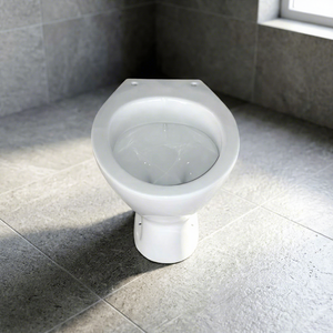 Inodoros de Cerámica Indios: Juego de Asiento para Inodoro de Taza Baja (EWC) y Asiento para Inodoro Europeo - Product Image 5