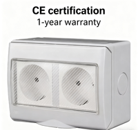 IGERCN IGJ55-2SR Prise murale double IP55 ABS résistante aux intempéries européennes 16A 250V avec interrupteur CE pour applications non-mise à la terre