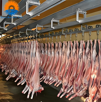 Systèmes de rails à viande à double voie, installation facile, équipement d'abattage de porcs, rail de suspension double pour 100 têtes de porcs