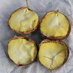 Shenhong — noix séchées biologique, aliments frais, nouvelle collection - Product Image 2