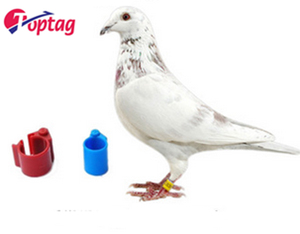 <span class=keywords><strong>TK4100</strong></span> EM4305 134.2Khz Rfid Duif Tag Kip Voet <span class=keywords><strong>Ring</strong></span> Voor Pluimvee Farm - Product Image 2