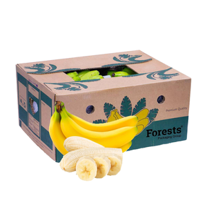 Durable Impact-Resistant Cardboard Boxes with Recycled Materials and <b>Sponge</b> Lining Eco-Friendly and Reusable for Food Industry - Product Image 1