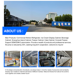 Tại Chỗ Bán buôn duy nhất nhiệt độ trực tiếp lạnh đông lạnh <span class=keywords><strong>mini</strong></span> Ice Cream tủ trưng bày - Product Image 6