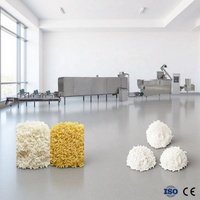 Machine à fabriquer du riz artificiel, extrudeuse à double vis pour la production de riz instantané fortifié, équipement de ligne de production