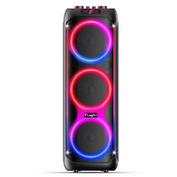 Système de karaoké complet, amplificateur de puissance, haut-parleur, microphone sans fil, lecteur audio professionnel InAndOn, éclairage LED RVB