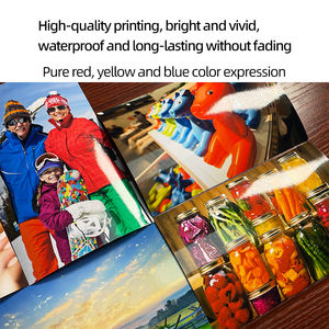 Stampante Fotografica Professionale Minilab a Getto d'Inchiostro SureLab D1070 D1080 di EPSON per Fototessere Matrimoni Stampa in Serie Senza Bordi - Product Image 6