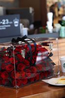 Boîte carrée en acrylique pour fleurs éternelles, rose stabilisée faite à la main, design élégant et romantique pour jardin suspendu, respectueux de l'environnement