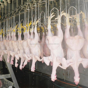 500Bph pies de pollo de carne de la línea de procesamiento de planta - Product Image 6