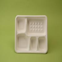 Barquette alimentaire en bagasse à 5 compartiments, sans PFAS, compostable, en pulpe de canne à sucre, jetable, pour la restauration