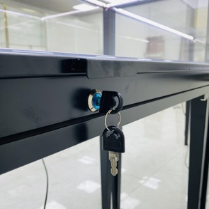 <span class=keywords><strong>Vitrine</strong></span> en verre à cadre en métal noir avec éclairage LED pour <span class=keywords><strong>figurines</strong></span> de bijoux de collection-Cabinet de <span class=keywords><strong>vitrine</strong></span> verrouillable - Product Image 2