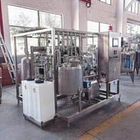Pasteurisateur à plaques à trois sections, échangeur de chaleur, pasteurisateur instantané pour bière, lait, jus, fonctionnement automatique 500L-20000L/H
