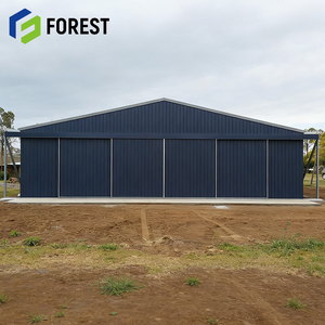 Estructura de Acero de Gran Envergadura, Económica y Confiable, Diseño de Marco de Portal para Hangar de Aviones Ligeros, Directo de Fábrica - Product Image 1