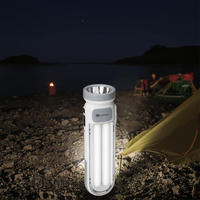 Lampe de poche LED portable rechargeable DP avec charge solaire