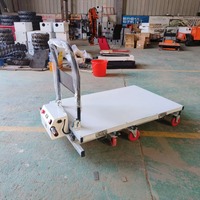 Chariot élévateur à ciseaux électrique 300kg Plate-forme de déchargement de chargement de restaurant d'entrepôt hydraulique portable